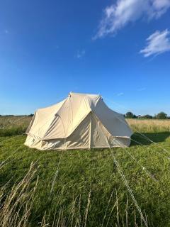Glamping tent at møn - Stege - 4