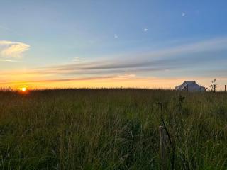 Glamping tent at møn - Stege - 2