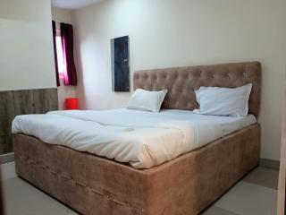 Budget Friendly Metro Regency - Lucknow - 9