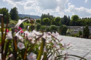 Lawendowy Zakręt - 5