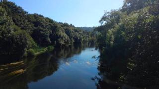 Grenxo II - Santiago de Compostela - 1