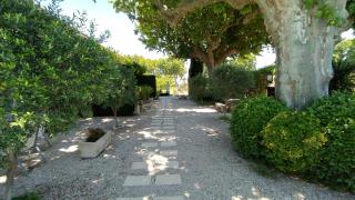 Mas de St-Andiol - Cabannes - 3