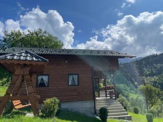 CABANA MERISORULUI - Borşa - 2