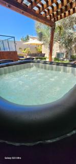 Amy's paradis גן העדן של איימי - 4