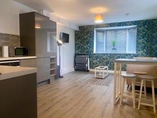 Apartment 1 - Manchester - 1