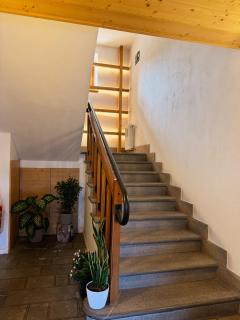 Neider Hotel - Alpine Retreat Sauris - 1