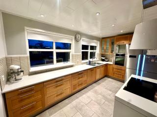 Luxurious House with hot & cold tub - Reikiavik - 3
