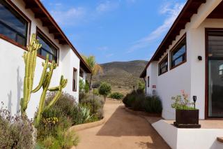 Villa Victoria, Valle de Guadalupe - 8