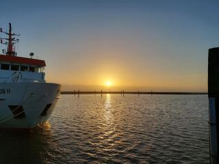 Friesenrose Nord - Spiekeroog - 1