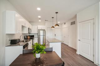 Spectra Parks 6204, Stunning Austin Oasis - Austin - 9