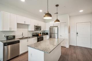 Spectra Parks 6204, Stunning Austin Oasis - Austin - 8