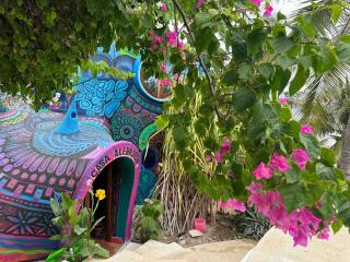 Beachfront Paradise Boutique Hotel - Casa Alebrijes Jacuzzi Suits - Playa Agua Blanca - 1