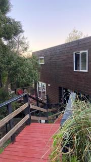 Cabaña del Bosque - Pichilemu - 5