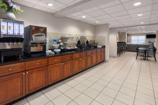 Microtel Inn & Suites by Wyndham Ann Arbor - Ann Arbor - 4