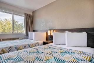 Motel 6-Albuquerque, NM - Midtown - Albuquerque - 4