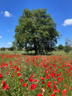 Podere Dell'Arco Country Charme - 1
