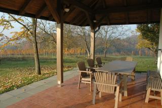 Country house Martinova Klet - Prosenjakovci - 6