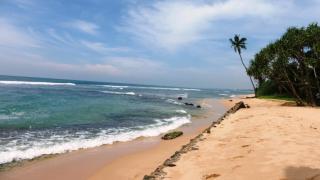 Ocean Reef Hotel - 3