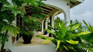 Malolo - To rest - Port Vila - 3