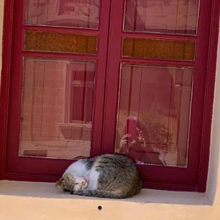 Townhouse 7 - Dingli - 8