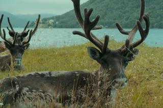 Apartment with parking and sauna - 3