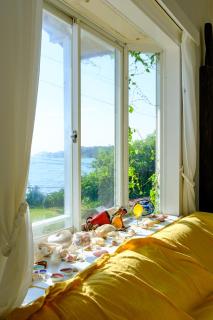 三浦バンビーノ - 4