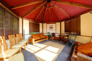 三浦バンビーノ - 7