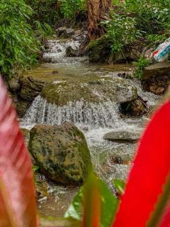 Blue Shore Pavilion - 6