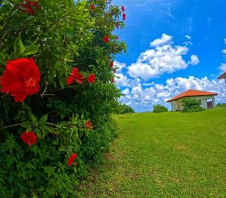 Eco Village Iriomote - Vacation STAY 72060v - - 7