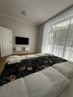 Apartmán Beethoven - Turčianske Teplice - 8