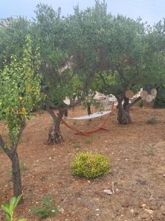 Viale del Sole - il Trullo - Locorotondo - 2
