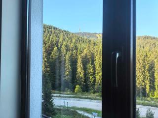 Тайната квартира - The Secret apartment - Pamporovo - 7
