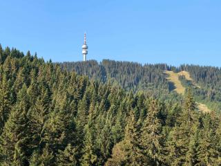 Тайната квартира - The Secret apartment - Pamporovo - 0