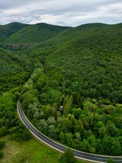 Kerekerdő Apartman - Szarvaskő - 4