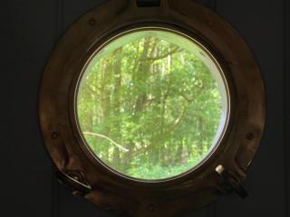 Lime Kiln Woods - Canterbury - 1