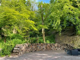Lime Kiln Woods - 8