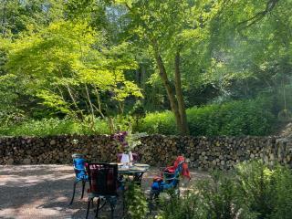 Lime Kiln Woods - Canterbury - 3