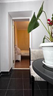 Green ToniC Hostel - Koetaisi - 6