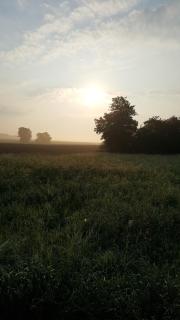 Fewo Seenlandschaft - Blankensee - 7