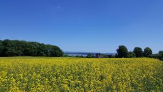 Fewo Seenlandschaft - 1