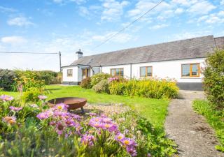 Pen Goppa - Bryncroes - 0