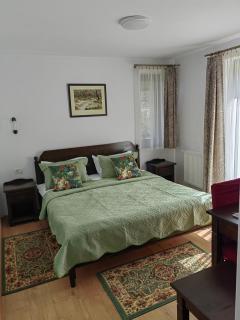 Pensiunea Pastravaria Vistisoara - Vistisoara - 1