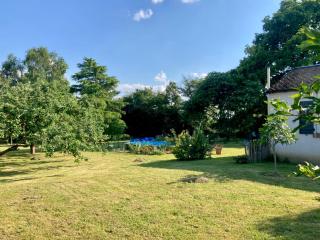 Le Bois neuf - Savigny-sur-Braye - 8