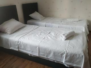 Rustavi guest house - Rustavi - 5
