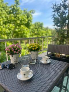E&L apt 150sqm 3BR Metro 30m Park - 2
