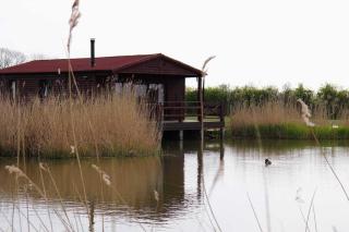 Lakeside Fishing Lodges - 9