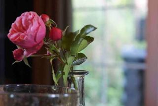 Knusse en gezellige blokhut de Bijenstal - 6