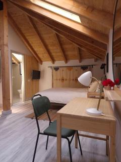 Studio in the attic with private bathroom - Bucharest - 1