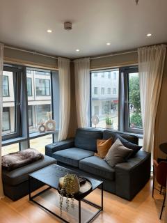 Urban resident by the ferry - 2