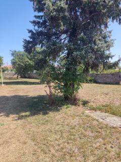 appart studio-F1 Montpellier de Medillan -Royan 38 euros la nuit - Montpellier-de-Médillan - 4